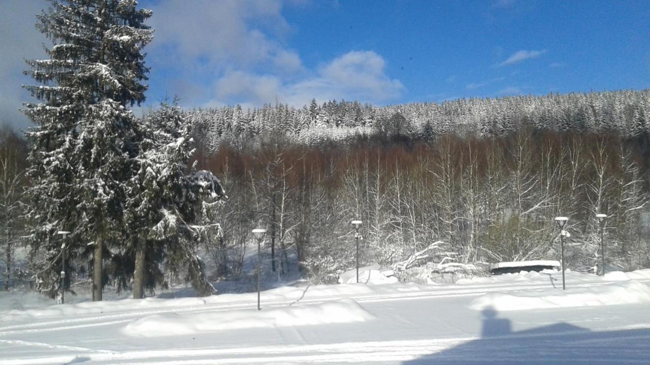 Na Pekarne Daire Železná Ruda Dış mekan fotoğraf